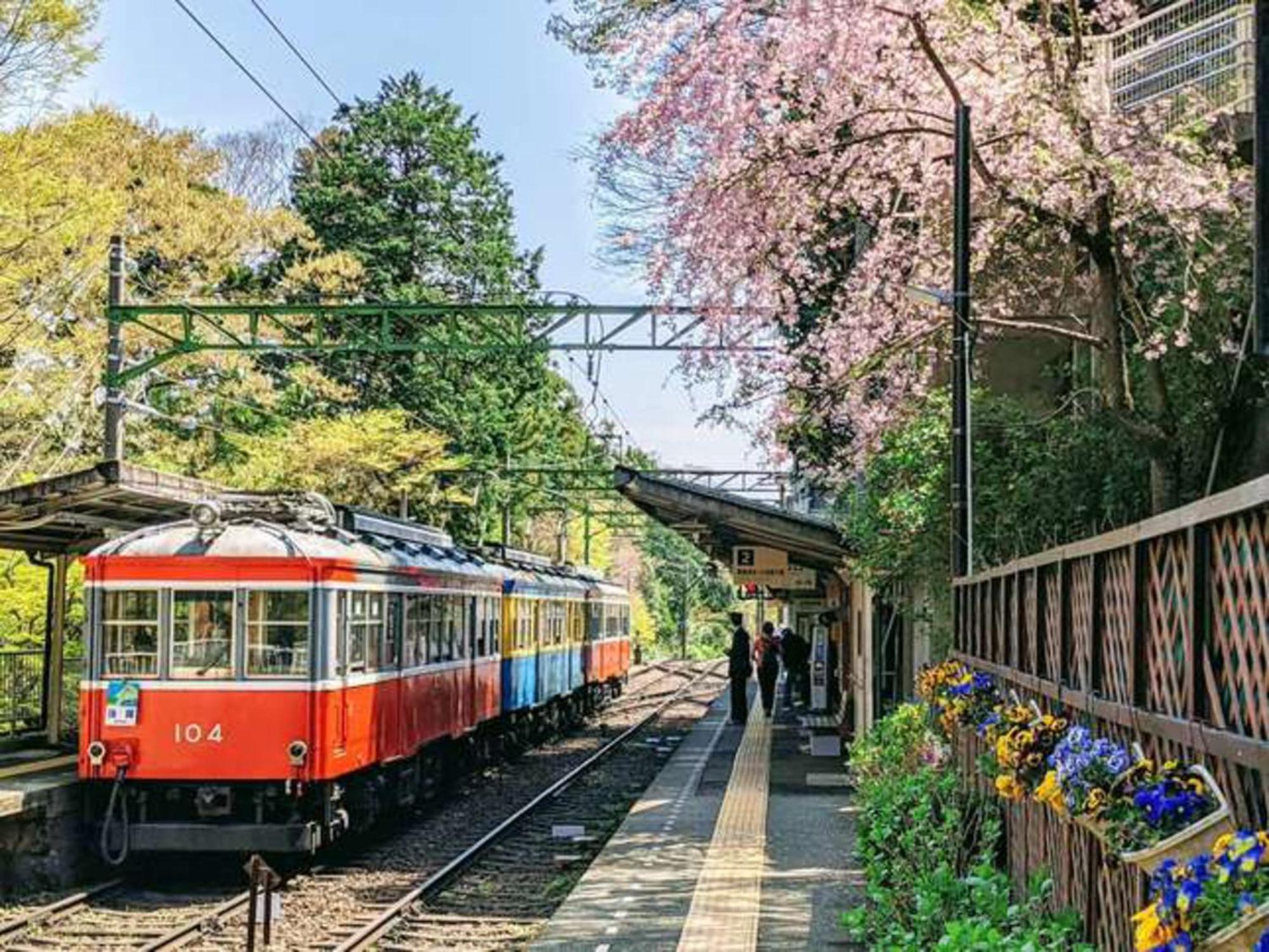Hotel Morinokaze Hakone Sengokuhara Dış mekan fotoğraf