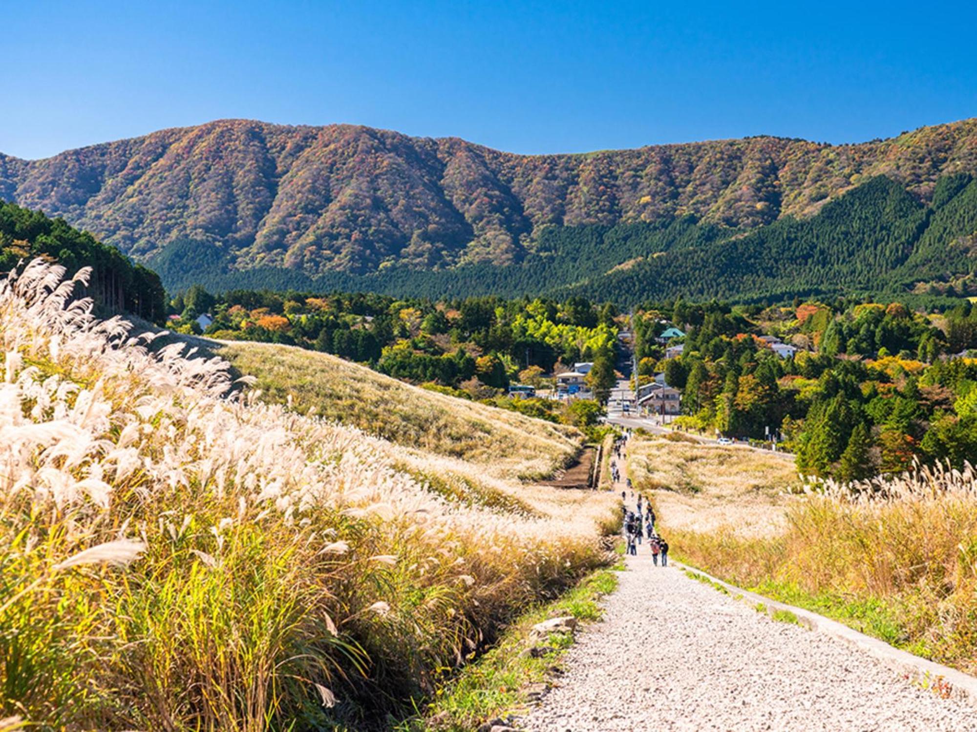 Hotel Morinokaze Hakone Sengokuhara Dış mekan fotoğraf